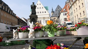 Fr&uuml;hlingserwachen Auf dem Wochenmarkt