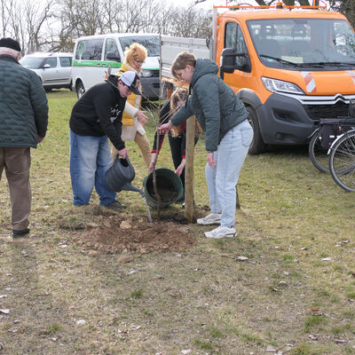 Bild vergr&ouml;&szlig;ern: Baumpflanzung in Burgsdorf
