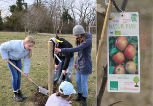 Baumpflanzung in Burgsdorf