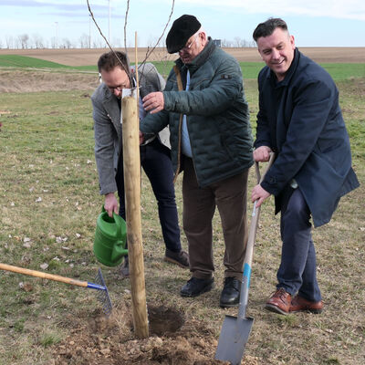 Bild vergr&ouml;&szlig;ern: Baumpflanzung in Burgsdorf