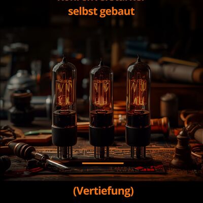 Das Bild zeigt ein Kursangebot der Kreisvolkshochschule Mansfeld S&uuml;dharz e. V. f&uuml;r einen Kurs: R&ouml;hrenverst&auml;rker selbst gebaut. 
Schwarzer Hintergrund, mittig drei gl&uuml;hende Elektronenr&ouml;hren die nebeneinander auf einer Platine montiert sind in einem unscharfen Werkstatt-Ambiente mit Werkzeugen und Elektrobauteilen.