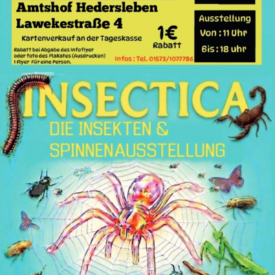 Das Bild zeigt ein Plakat f&uuml;r eine Insekten- und Spinnenausstellung namens &raquo;Insectica&laquo; in Eisleben OT Hedersleben / Amtshof.
Veranstaltungstitel: &raquo;Lautlose J&auml;ger - Insectica: Die Insekten & Spinnenausstellung&laquo;.
In der Mitte ist eine gro&szlig;e, farbenfrohe Spinne in einem Netz zu sehen. Drumherum sind ein Tausendf&uuml;&szlig;ler, ein Skorpion, eine Gottesanbeterin, ein K&auml;fer und ein Schmetterling auf hellblauem Grund abgebildet.
