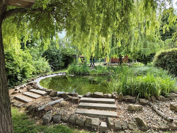 Bild vergr&ouml;&szlig;ern: Fischteich im Tierheim