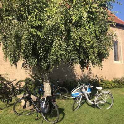 Bild vergrößern: IMG_8184