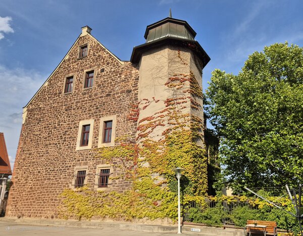 Bild vergrößern: Ehemalige gräfliche Münze